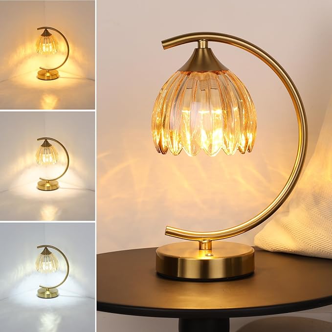Tulip Table Lamp with 5200mAh Battery & Touch Control, Cordless Lamp with 3 by Shenmoyl