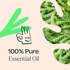 Plant Therapy Deodorizing Essential Oil Blend, 100 mL, Made - Image 5