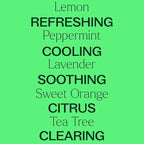 Plant Therapy Top 14 Essential Oil Set, 10 mL Bottles of Lavender, Eucalyptus - Image 3