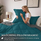 downluxe California King Comforter Set - Image 2