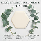 Eucalyptus Shower Steamers Aromatherapy, Vapor Shower Tablets - Image 5