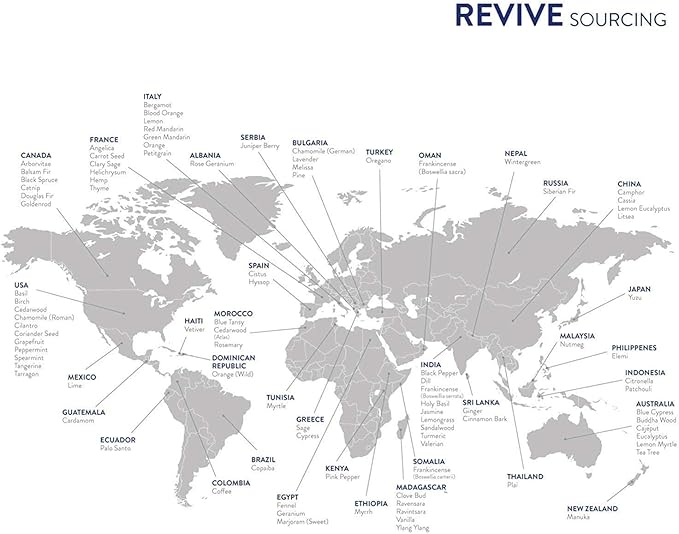Lavender Essential Oil by Revive Essential Oils - Image 5