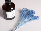 WEALD TRIBE Flower Reed Diffuser Set Cashmere Vanilla Scent - Image 5