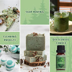 SALUBRITO Nature Fragrance Oils Set, Essential Oils Set - Image 7