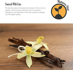 Natures-Star - Vanilla Essential Oil Therapeutic Grade - Image 4