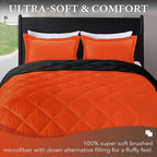 downluxe Full Comforter Set - Image 2
