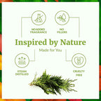 SVA Cypress Essential Oil – 4 Fl Oz – 100% Natural Cypress Oil - Image 3