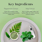 Spongellé Essentials Lavender Fields Mani/Pedi Buffer | Exfoliating Foot & Nail - Image 4