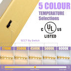 Modern LED Bathroom Light Fixtures Dimmable 5-Light Gold Vanity Light, 5CCT - Image 3