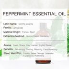 Peppermint Essential Oil, 100% Pure & Natural Peppermint Oil 100ML, Premium - Image 3