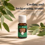Young Living Eucalyptus Globulus Essential Oil | Cooling, Refreshing Aroma - Image 2