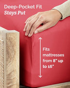 Twin 4 Piece Sheet Set - Image 4