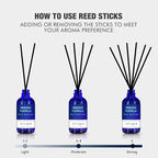 Xcleen Reed Diffuser Set with Sticks 3.7 Oz, Coconut & Milk Scented Fragrance - Image 4