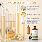 EVOKE OCCU Ginger Oil for Mental Clarity, Relieve Soreness, Hair Nourishment - Image 6