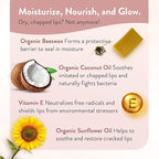 Moroccan Magic Organic Lavender Vanilla Lip Balm 3 Pack | Ultra-Hydrating Argan - Image 3