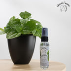 100% Pure Eucalyptus Shower Mist Spray- 2oz Natural Mist - Image 5