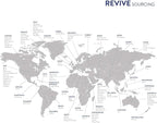 Eucalyptus Essential Oil 30mL by Revive Essential Oils - Image 7