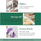 Handcraft Blends Pine Essential Oil – 1 Fl Oz – 100% Pure and Natural – Premium - Image 6