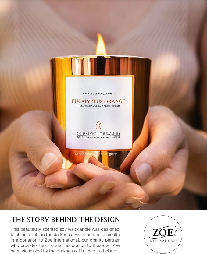 Benevolence LA Eucalyptus Orange Wood Wick Candles | Soy Christmas Scented - Image 6