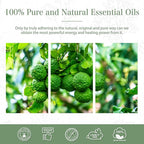 PHATOIL 3.38FL.OZ Bergamot Essential Oil, - Image 6