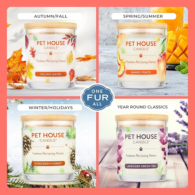 Pet House Candles, Clean Burning, Long Lasting Candles - Image 4
