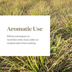 Lemongrass Essential Oil by Young Living, 15 Milliliters, Topical and Aromatic - Image 4