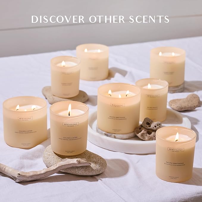 Orange, Cedarwood & Clove – Benevolence LA Scented Candle - Image 7