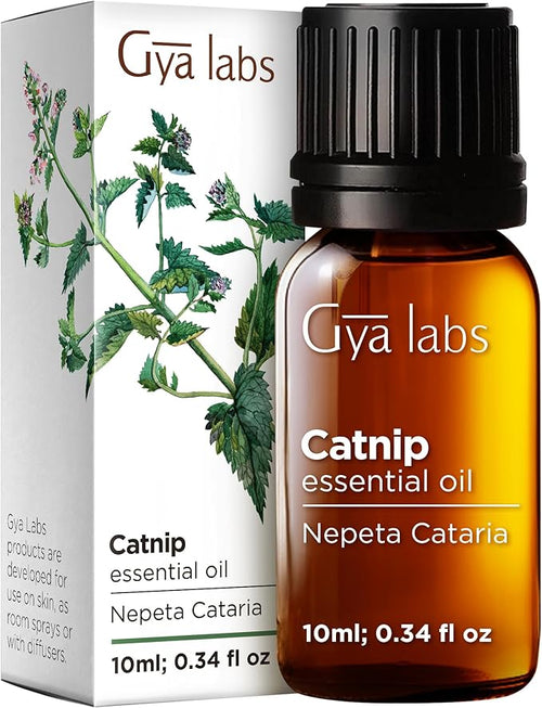 100% Pure Catnip Essential Oil by GyaLabs