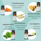 PURA D'OR Organic Sweet16 Essential Oils Set - Image 2