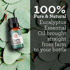 GuruNanda Eucalyptus Essential Oil -100% Pure, Natural and Undiluted - Image 2