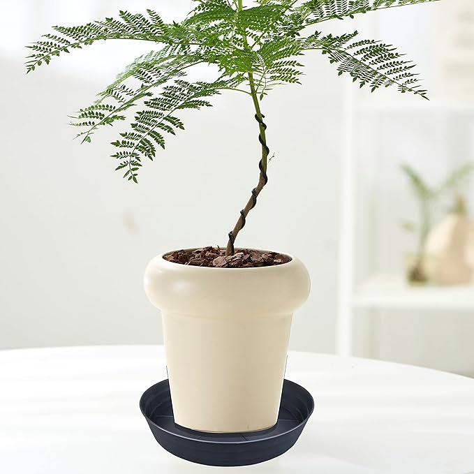 25 Inch Extra Large Plant Saucers, Extra-Deep 4.25 in Black Drip Trays - Image 6