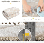 Ivory 5x7 Area Rug Moroccan Shag Living Room Washable Carpet Soft Non Shedding - Image 5