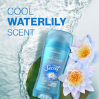 Secret Invisible Solid Antiperspirant and Deodorant, Waterlily Scent, 2.6 oz - Image 8