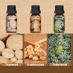 Woody Essential Oils Set, ARVIDSSON Woodsy Fragrance Oil - Image 4