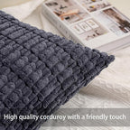 Aegero Pack of 2 Corduroy Decorative Throw Pillow Covers 24x24 InchSoft Striped - Image 2