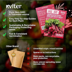 KVITER 600 Detroit Dark Red Beet Seeds - Image 5