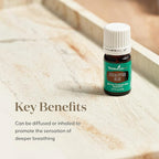 Young Living Eucalyptus Blue Essential Oil | 5 ml | Premium, Invigorating - Image 5