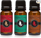 Trio - Reindeer Retreat, Warmth of The Holidays & Sexy Cinnamon Clove - Premium by EternalEssenceOils