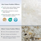 COZSINOOR Goose Feather Pillows Queen Size - Image 6