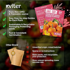 KVITER 50 Sugar Pumpkin Seeds Organic – Small Pumpkin Heirloom Seed, Sweet - Image 5