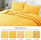 Exclusivo Mezcla Queen Quilt Bedding Set, Lightweight Soft Bedspreads Coverlets - Image 3