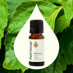 Plant Therapy Patchouli Essential Oil, 10 mL, 100% Pure and Undiluted - Image 4