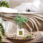 Airkeep Reed Diffuser Set - Image 2