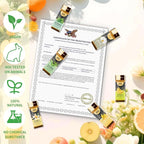 80 Pcs Pure Essential Oils for Diffusers for Home, Candle and Soap Making - Image 2