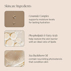 Saltair Multi-Lipid Body Butter – Hydrating 24-Hour Moisture – Body Cream - Image 5