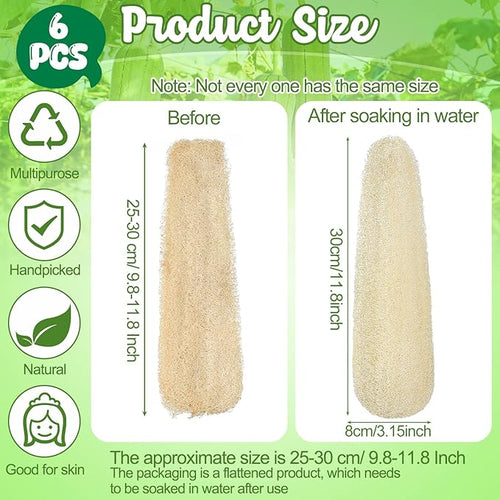 11.8 inches Natural Loofah Sponges Pack of 6, - Image 2