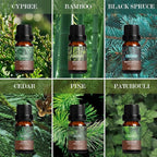 SALKING Woodsy Essential Oils Set - Image 4