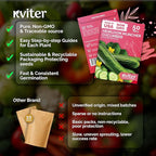 KVITER 50 Muncher Cucumber Seeds – Burpless & Seedless Cucumber Organic - Image 5