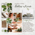 Room Spray, Eucalyptus Leaves, 4 fl oz, Air Freshener - Image 2