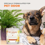 One Fur All Pet House Fall Candles, Long Lasting, Clean Burning, Soy Wax - Image 6